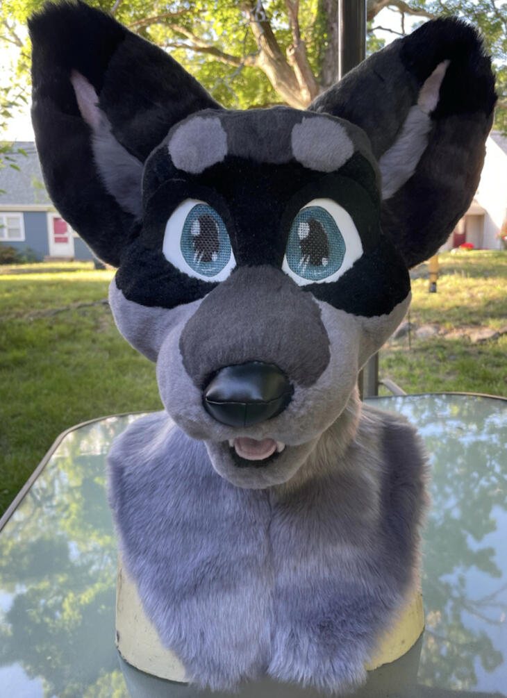 racoon fursuit head furry grey cute black