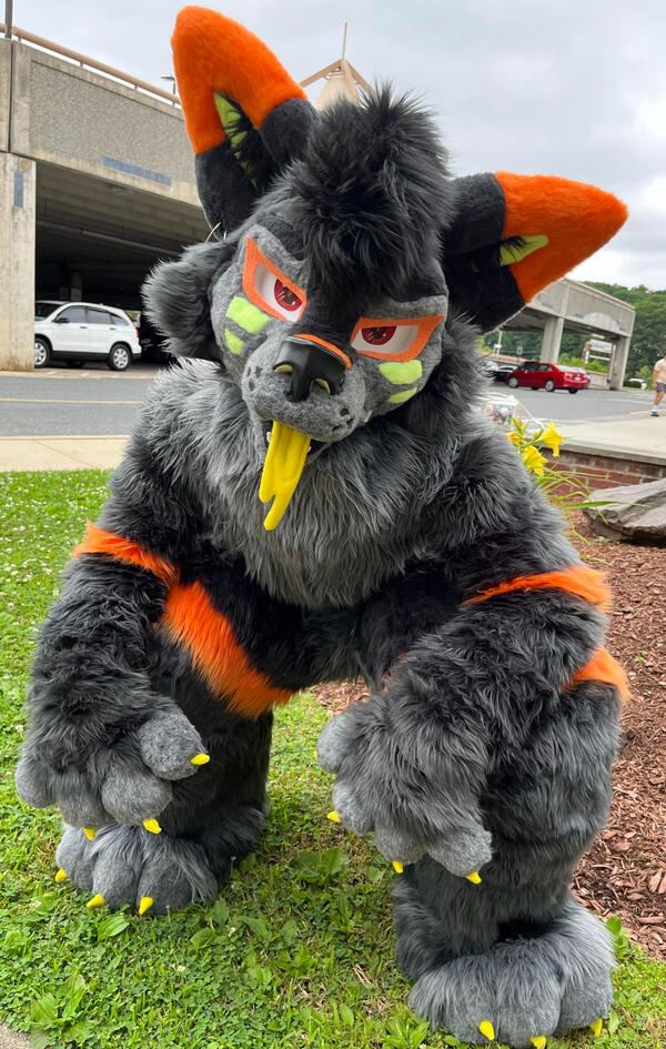 Lightningpaw- digi full