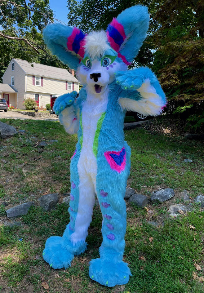 colorful pastel blue fennec fox fursuit splash big ears bounce squeaker paws full fursuit plantigrade purple pink blue white