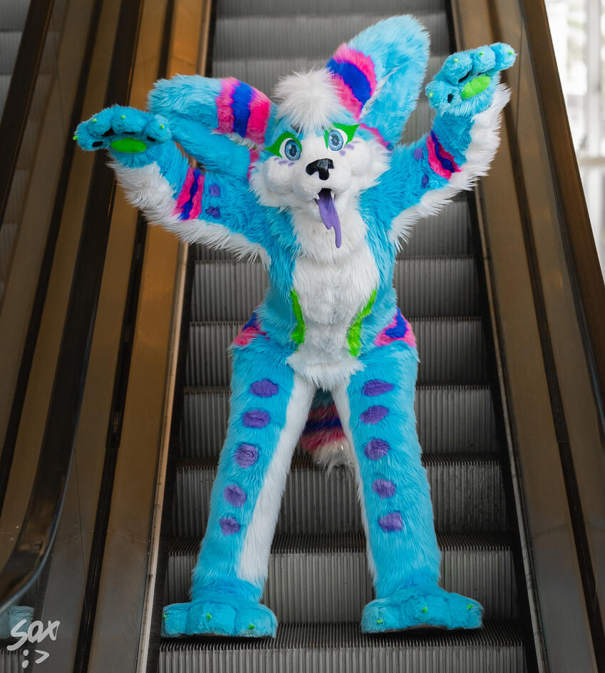 colorful pastel blue fennec fox fursuit splash big ears bounce squeaker paws full fursuit plantigrade purple pink blue white